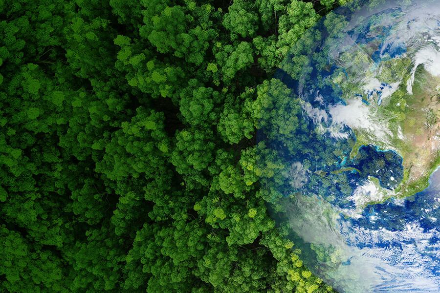 Yeşil Dönüşüm: Yeni İklim Kanunu ile Küresel Sorumluluktan  Ulusal Yaptırıma